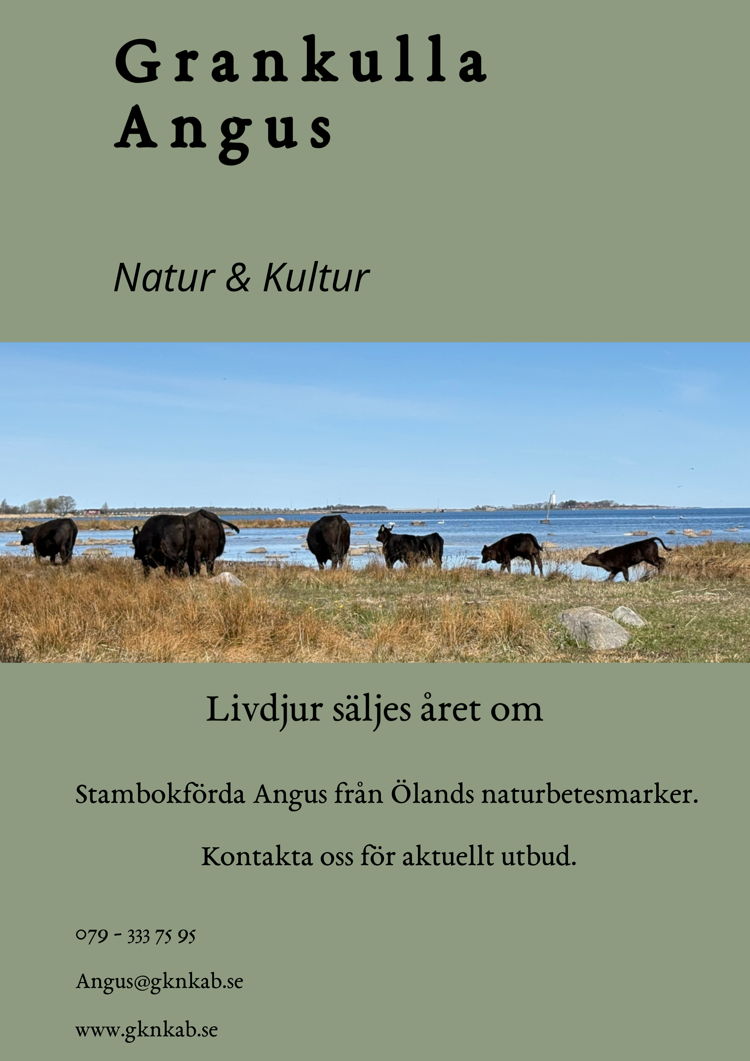 Grankulla Angus